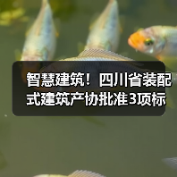 智慧建筑！四川省装配式建筑产协批准3项标准立项（图2）