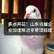 多点开花!山东省属企业加速推进重要项目建设(图1) 多点开花!山东省属企业加速推进重要项目建设(图1)