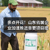 多点开花!山东省属企业加速推进重要项目建设(图4) 多点开花!山东省属企业加速推进重要项目建设(图4)
