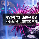 多点开花!山东省属企业加速推进重要项目建设(图3) 多点开花!山东省属企业加速推进重要项目建设(图3)
