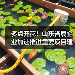 多点开花!山东省属企业加速推进重要项目建设(图2) 多点开花!山东省属企业加速推进重要项目建设(图2)