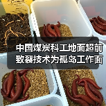中国煤炭科工地面超前致裂技术为孤岛工作面回采“减压”(图2) 中国煤炭科工地面超前致裂技术为孤岛工作面回采“减压”(图2)