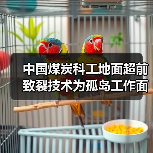 中国煤炭科工地面超前致裂技术为孤岛工作面回采“减压”(图1) 中国煤炭科工地面超前致裂技术为孤岛工作面回采“减压”(图1)