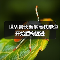 世界最长海底高铁隧道开始盾构掘进(图1) 世界最长海底高铁隧道开始盾构掘进(图1)