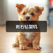 岩石钻裂机（图1）