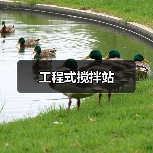 工程式搅拌站（图1）