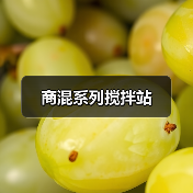 商混系列搅拌站（图3）