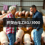 拱架台车ZXGJ3000（图4）