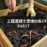 工程混凝土湿喷台车ZXP4517(图2) 工程混凝土湿喷台车ZXP4517(图2)