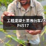 工程混凝土湿喷台车ZXP4517(图4) 工程混凝土湿喷台车ZXP4517(图4)