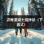 沥青混凝土搅拌站（下置式）（图3）
