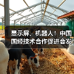 显示屏、机器人！中国国经技术合作促进会发布八项标准（图1）