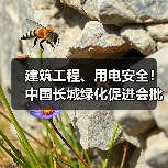 建筑工程、用电安全！中国长城绿化促进会批准六项标准立项（图3）