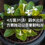 4方面31项!丽水出台方案推动设备更新和消费品以旧换新(图1) 4方面31项!丽水出台方案推动设备更新和消费品以旧换新(图1)