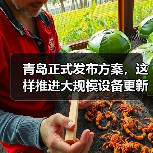 青岛正式发布方案，这样推进大规模设备更新和消费品以旧换新（图1）