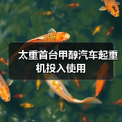 太重首台甲醇汽车起重机投入使用（图3）