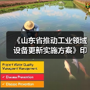 《山东省推动工业领域设备更新实施方案》印发（图4）