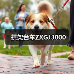 拱架台车ZXGJ3000（图2）