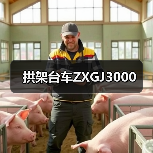 拱架台车ZXGJ3000（图3）