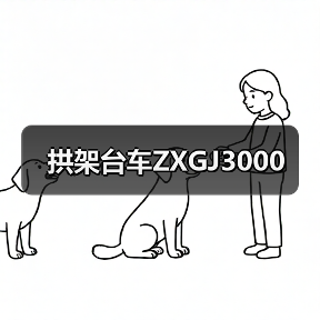 拱架台车ZXGJ3000（图4）