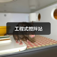 工程式搅拌站（图3）
