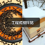 工程式搅拌站（图3）