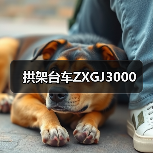拱架台车ZXGJ3000（图3）
