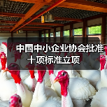 中国中小企业协会批准十项标准立项（图1）