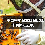 中国中小企业协会批准十项标准立项（图3）