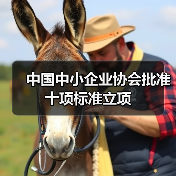 中国中小企业协会批准十项标准立项（图4）