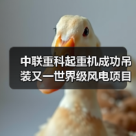 中联重科起重机成功吊装又一世界级风电项目首台风机（图2）