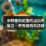 中联重科起重机成功吊装又一世界级风电项目首台风机（图3）