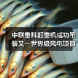 中联重科起重机成功吊装又一世界级风电项目首台风机（图4）