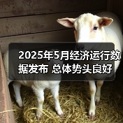 2025年5月经济运行数据发布 总体势头良好(图2) 2025年5月经济运行数据发布 总体势头良好(图2)