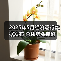 2025年5月经济运行数据发布 总体势头良好(图4) 2025年5月经济运行数据发布 总体势头良好(图4)