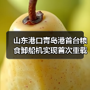 山东港口青岛港首台粮食卸船机实现首次重载试车（图2）