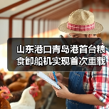 山东港口青岛港首台粮食卸船机实现首次重载试车（图4）
