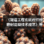 《隧道工程玄武岩纤维喷射混凝技术规范》等七项标准今日施行（图1）
