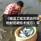 《隧道工程玄武岩纤维喷射混凝技术规范》等七项标准今日施行（图4）