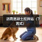 沥青混凝土搅拌站（下置式）（图2）