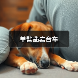 单臂凿岩台车（图4）
