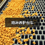 喷淋养护台车（图2）