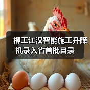 柳工江汉智能施工升降机录入省首批目录（图1）