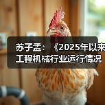 苏子孟：《2025年以来工程机械行业运行情况与全年展望》（图3）