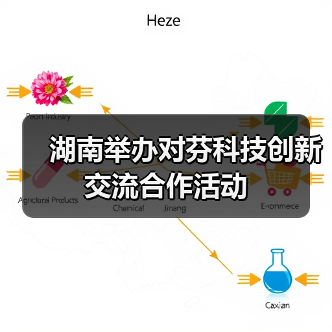 湖南举办对芬科技创新交流合作活动（图4）