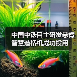中国中铁自主研发悬臂智慧造桥机成功投用（图1）