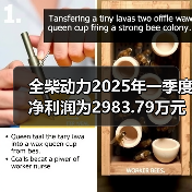 全柴动力2025年一季度净利润为2983.79万元，同比增长17.65%（图4）
