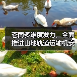 苍南多维度发力，全面推进山地轨道运输机安全生产专项治理（图4）