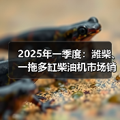 2025年一季度：潍柴、一拖多缸柴油机市场销量靠前（图3）