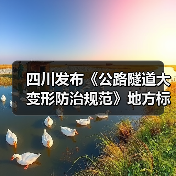 四川发布《公路隧道大变形防治规范》地方标准(图4) 四川发布《公路隧道大变形防治规范》地方标准(图4)